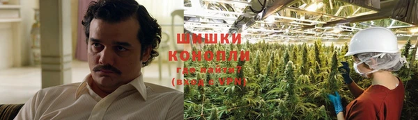 ГАЛЛЮЦИНОГЕННЫЕ ГРИБЫ Коряжма