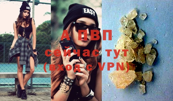 ГАЛЛЮЦИНОГЕННЫЕ ГРИБЫ Коряжма