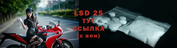 ГАЛЛЮЦИНОГЕННЫЕ ГРИБЫ Коряжма